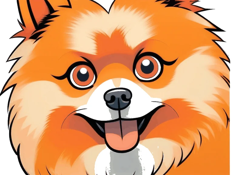 Zwergspitz (Pomeranian) Rasseguide – Kleiner Hund, großer Charakter